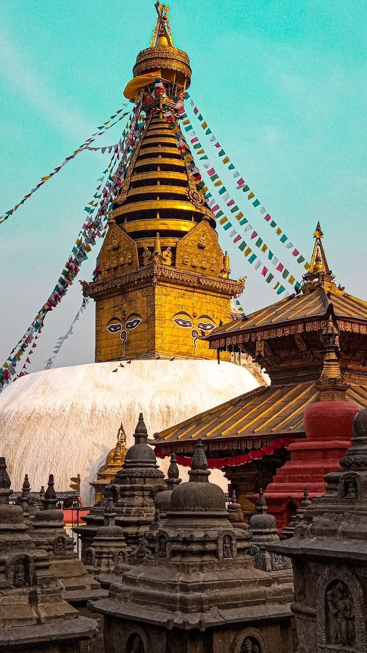 image-8